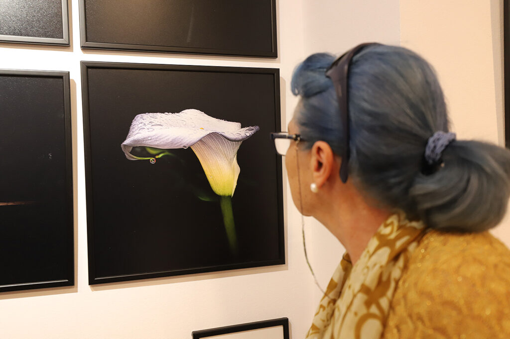 Exposición "La memoria de las sombras"