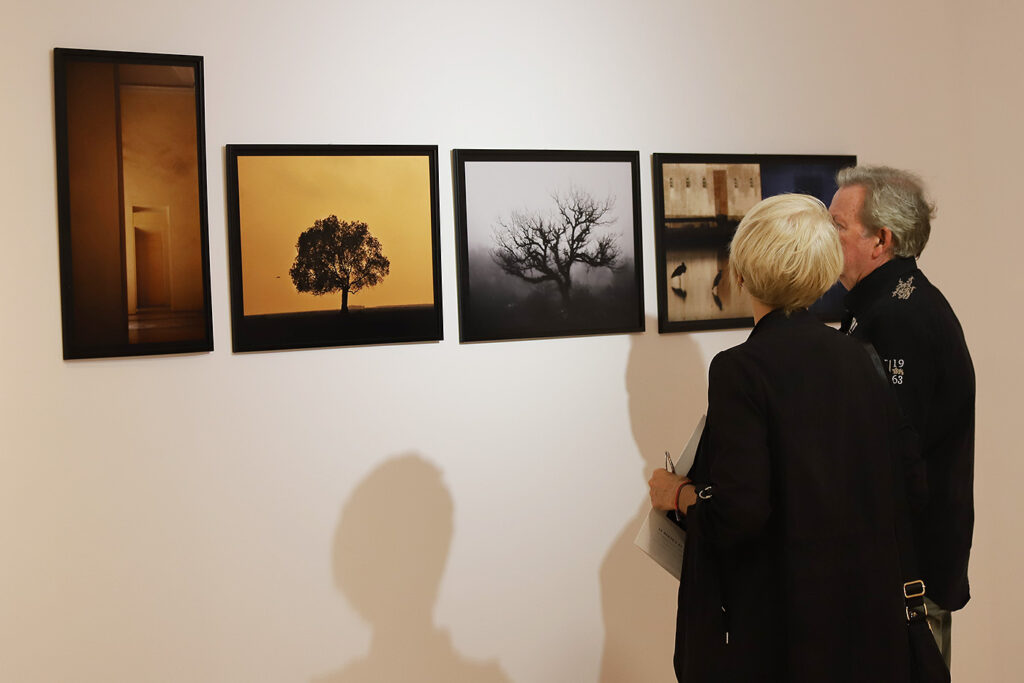 Exposición "La memoria de las sombras"