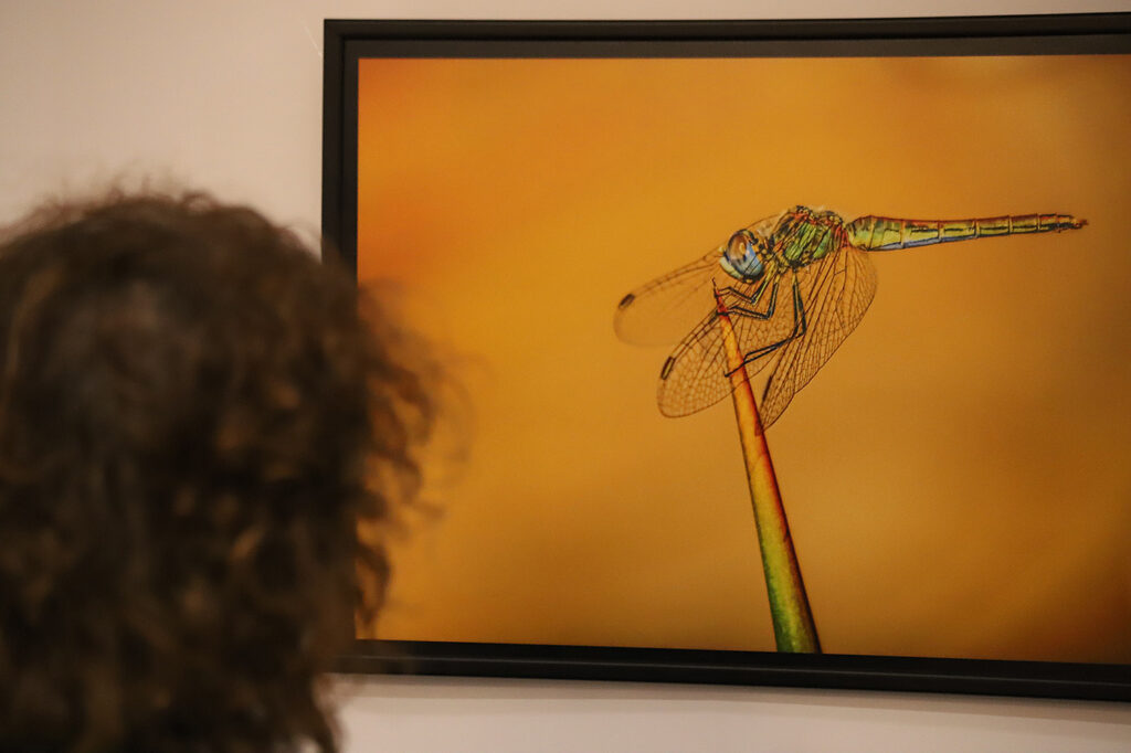 Exposición "La memoria de las sombras"