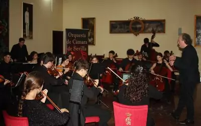 XXII Ciclo